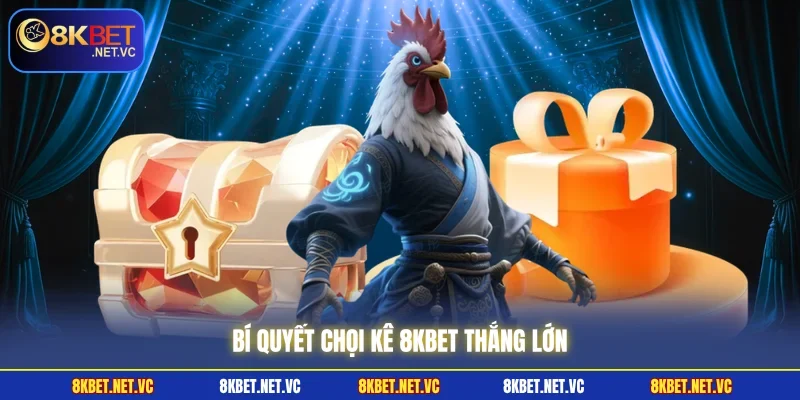 Bí quyết Chọi Kê 8KBET thắng lớn