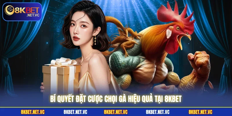 Đá Gà Thomo - Khám Phá Những Trận Đấu Kịch Tính Cùng 8KBET 3 Bí quyết đặt cược chọi gà hiệu quả tại 8KBET