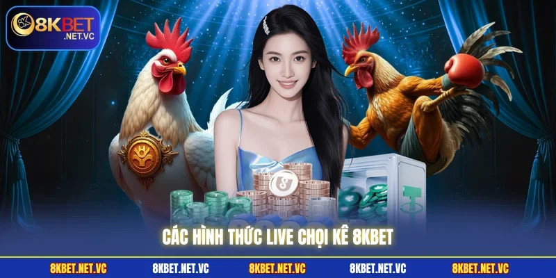 Live Đá Gà 8KBET | Chân Thực Đến Từng Phút Giây Trong Trận 2 Các hình thức live Chọi Kê 8KBET