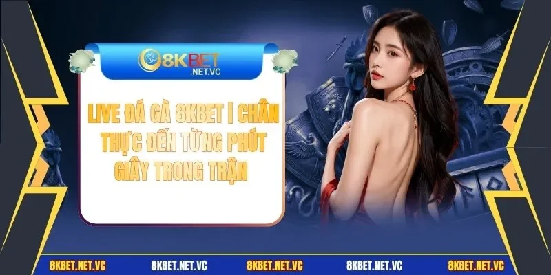 Live Đá Gà 8KBET | Chân Thực Đến Từng Phút Giây Trong Trận 