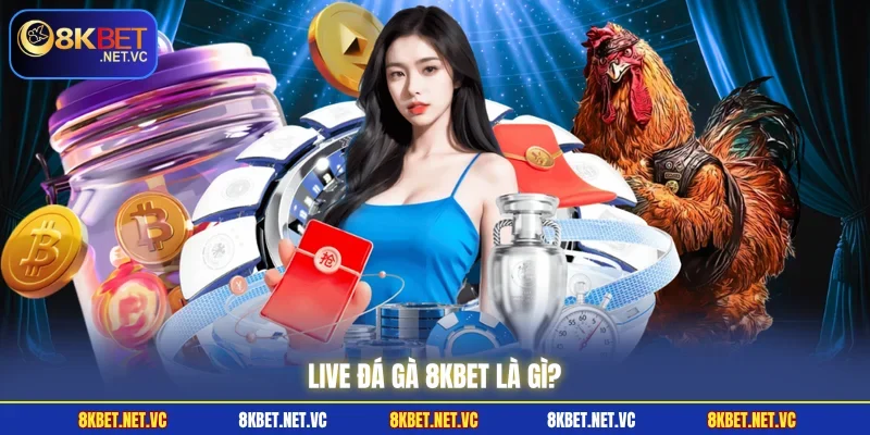 Live Đá Gà 8KBET | Chân Thực Đến Từng Phút Giây Trong Trận 1 Live Đá Gà 8KBET là gì?