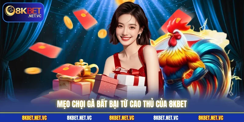 Mẹo chọi gà bất bại từ cao thủ của 8KBET