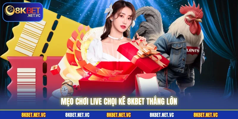 Live Đá Gà 8KBET | Chân Thực Đến Từng Phút Giây Trong Trận 3 Mẹo chơi live Chọi Kê 8KBET thắng lớn